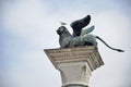 Detail of Venice Lion and Seagull