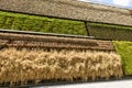 Detail of vertical crops at Israel Pavillion, EXPO 2015 Milan