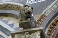 Marble lion on the facade of the Cathedral of Pisa, Italy Royalty Free Stock Photo