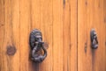 Detail view of iron lion head door knocker of wood front door