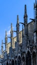 Detail view Notre Dame de Paris