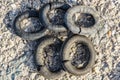 Damaged hangers of car muffler Royalty Free Stock Photo