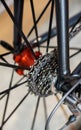 Detail view of rear bicycle axle and racing gears Royalty Free Stock Photo