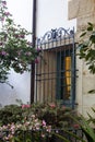 Ornate window iron grille