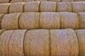 Detail of stacked round bales of straw, Czech Republic.