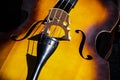 Detail view of a string music instrument, the cello Royalty Free Stock Photo