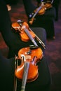 Two violins on some chairs Royalty Free Stock Photo