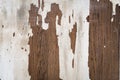 Texture of a wooden surface with white cracked paint Royalty Free Stock Photo