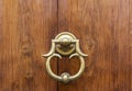Detail of the vintage door knocker Royalty Free Stock Photo