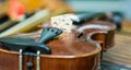 Detail of violin Royalty Free Stock Photo