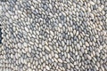 Detail of a walkway made of river pebbles, stone background, light grey and white colors Royalty Free Stock Photo