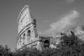 Detail of the wall of the Colosseum in a bright sunny summer day in Rome, Italy Royalty Free Stock Photo