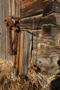 Detail of wall and harness clamp on old log barb Royalty Free Stock Photo