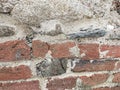 Detail of a wall made of bricks and rocks Royalty Free Stock Photo