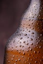 Detail of water droplets on cold beer bottle Royalty Free Stock Photo