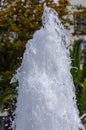 Detail of a water fountain, tree and house in the background