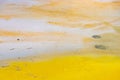 Detail of water surface at Wai-O-Tapu at New Zealand Royalty Free Stock Photo