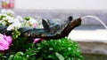 Detail of a water tap with animal motif on a fountain BarfÃÂ¼sser Fountain on Franziskanerplatz in the historic centre of Lucerne,