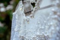 Detail wedding dress Royalty Free Stock Photo