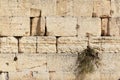 Detail of Western Wall in Jerusalem Old City, Israel