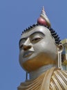 A detail of the Wewurukannala Vihara Buddha statue