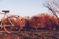 Detail wheel of bicycle on the green grass on blurred colorful a Royalty Free Stock Photo