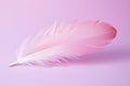 Wallpaper white design soft background abstract feather pink decorative texture pattern light bird