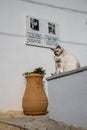 Still life at Durrell House in Kalami, Corfu, Greece Royalty Free Stock Photo