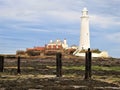 A detail of a white lighthouse on an island