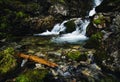 Detail on a wild mountain stream Royalty Free Stock Photo