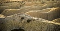 Detail of the winding arid and desert landscape of badlands of the Abanilla desert