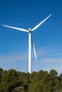 Detail of windmill in forest