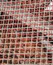 detail of wire mesh in the construction site