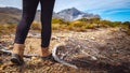 Detail of woman trekking on mountain track, New Zealand Royalty Free Stock Photo