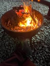 Camping campfire with fir wood