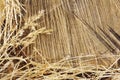 Detail of wooden cut texture and dry grass hay Royalty Free Stock Photo