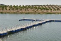 Floating dock