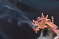 Detail of wooden incense burner in the shape of a dragon breathing smoke