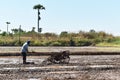 Worker plowing in rice field prepare plant rice Royalty Free Stock Photo