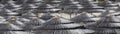 Detail of woven umbrellas above rows on beach in Cyprus.