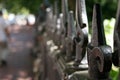 Detail of Wrought Iron Fence