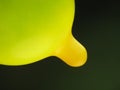 Detail of yellow balloon
