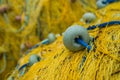 Detail of yellow nets on a boat deck Royalty Free Stock Photo