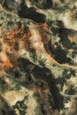 Detailed aerial view of a national park with LiDAR GIS mapping showing elevation gradients trail systems and vegetation cover.