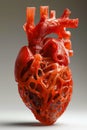 Detailed Anatomical Model of Human Heart in Red for Biological Study and Medical Illustration