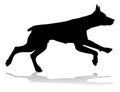 Dog Silhouette Pet Animal