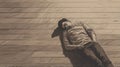 Detailed Artsy Pencil Drawing Of A Man Sleeping On Wooden Floors