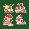 detailed autumn labels collection vector illustration