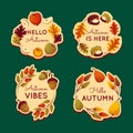 detailed autumn labels collection vector illustration