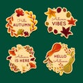 detailed autumn labels collection design illustration